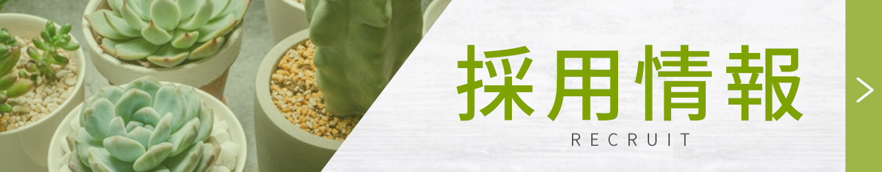 採用情報